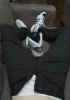 adidas_attitude_fetish_11.jpg (59647 bytes)