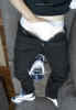 adidas_attitude_fetish_15.jpg (70112 bytes)